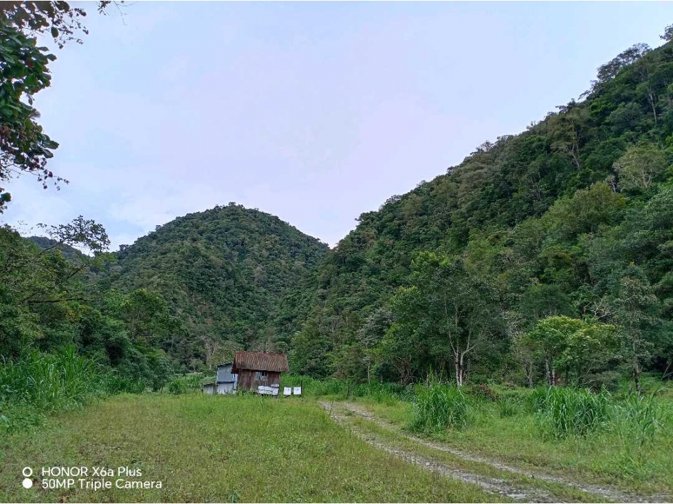 En venta espectacular finca de 280 hectáreas en El Tisingal, Volcán - 4