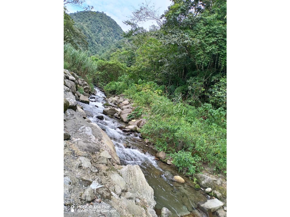 En venta espectacular finca de 280 hectáreas en El Tisingal, Volcán - 6
