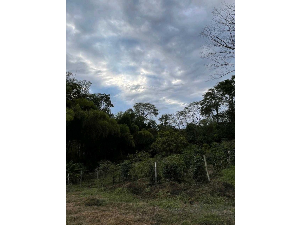 En venta lote en Mundo Nuevo Pereira
