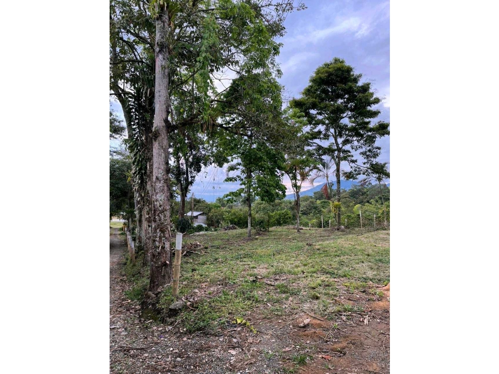 En venta lote en Mundo Nuevo Pereira — foto 2