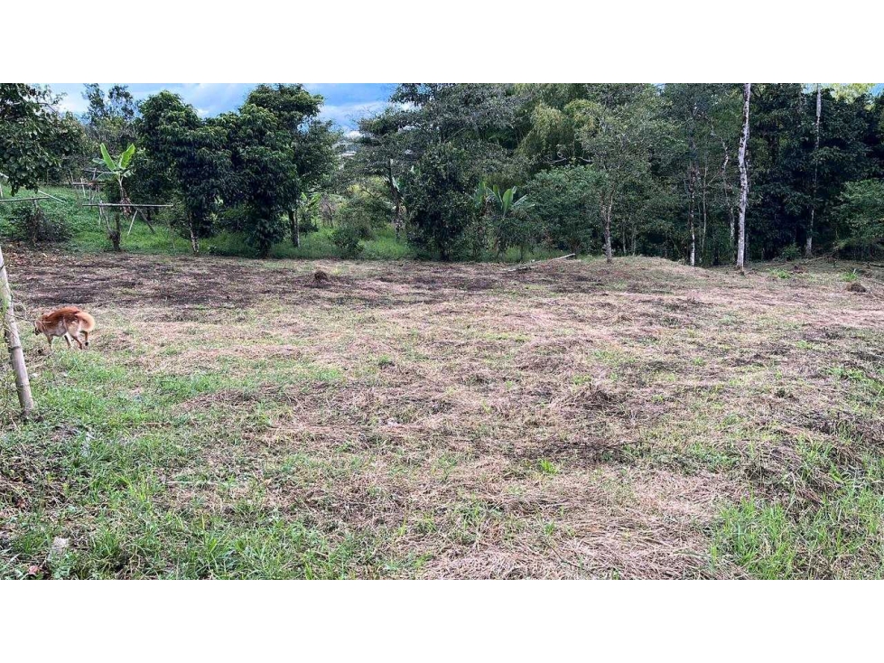 En venta lote en Mundo Nuevo Pereira — foto 5