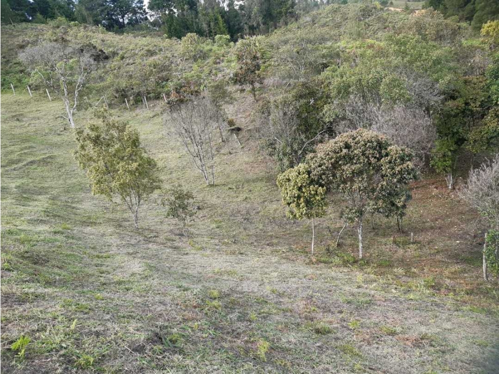 En venta este espectacular lote ubicado cerca al aeropuerto JMC — foto 4