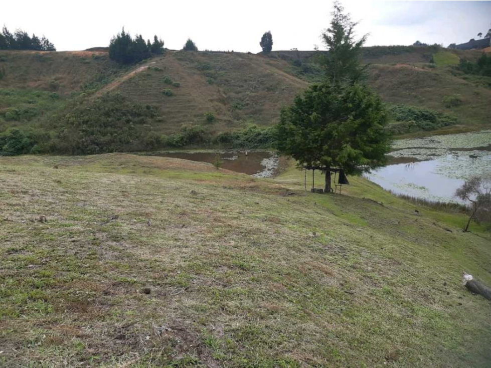 En venta este espectacular lote ubicado cerca al aeropuerto JMC — foto 5