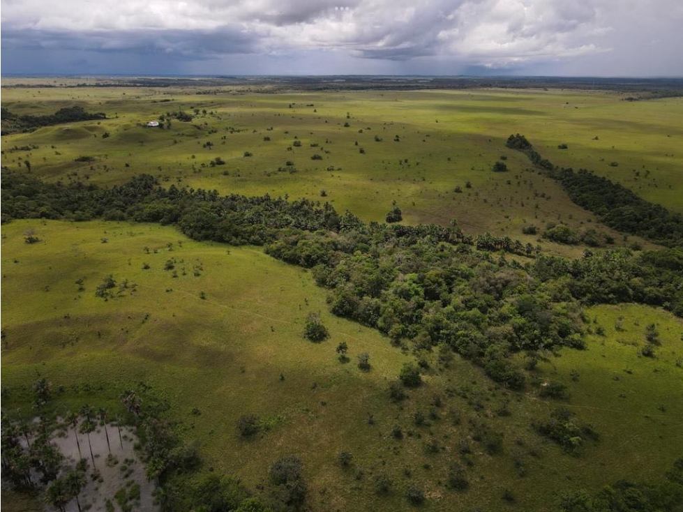 En venta finca 469 hectáreas en Puerto Gaitan - 2