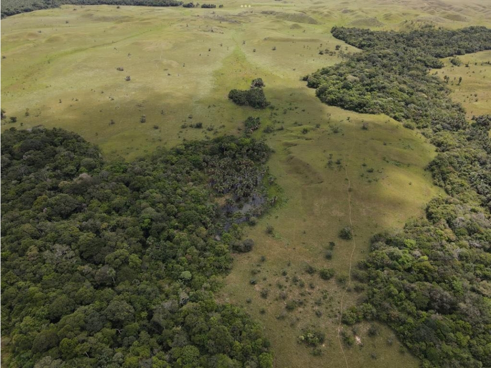 En venta finca 469 hectáreas en Puerto Gaitan - 3