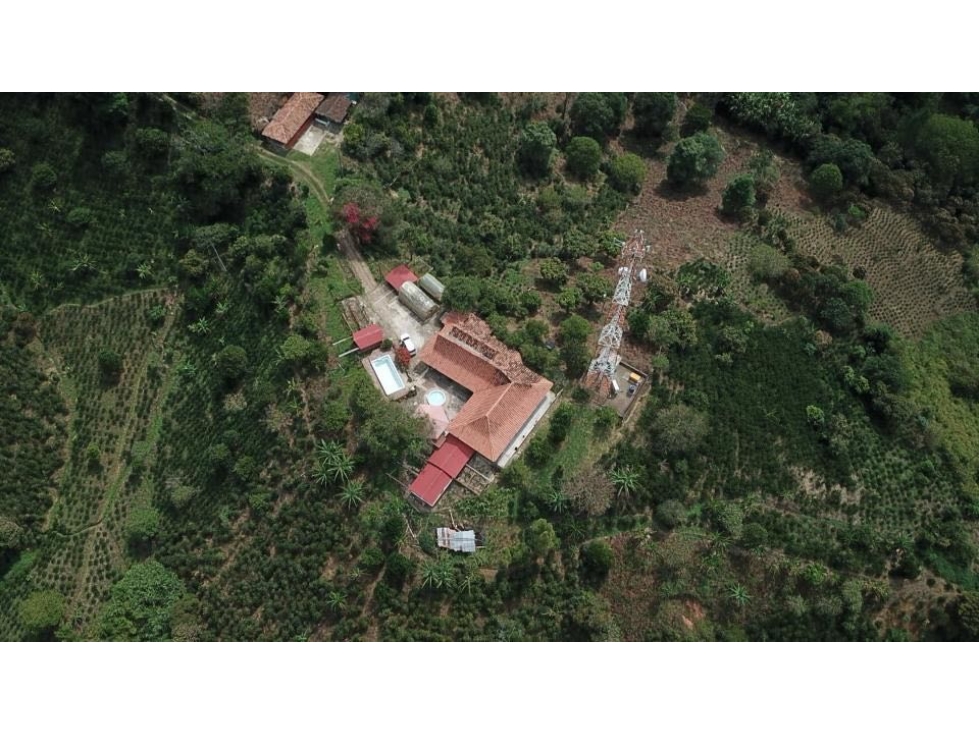 En venta finca cafetera en San Antonio de Prado — foto 2