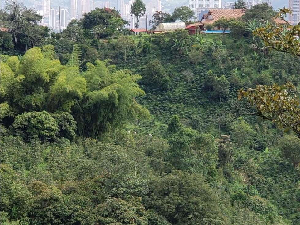 En venta finca cafetera en San Antonio de Prado — foto 5