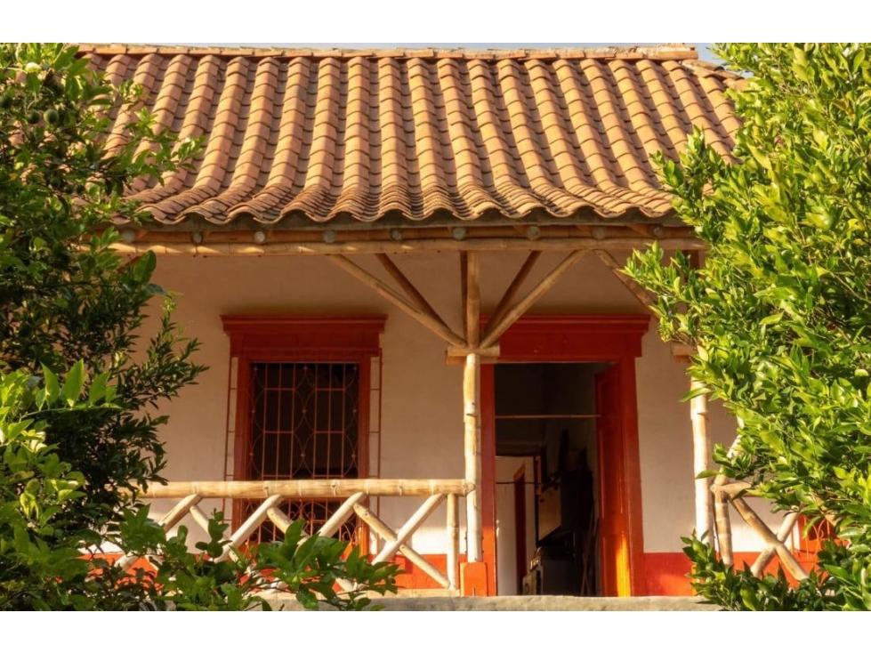 En venta finca cafetera en San Antonio de Prado