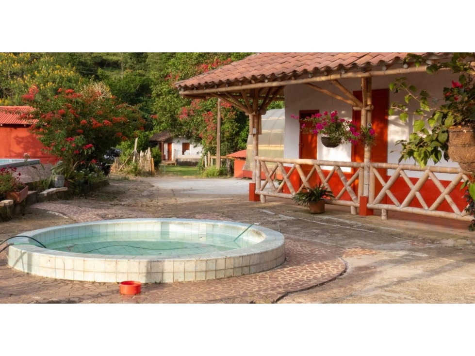 En venta finca cafetera en San Antonio de Prado — foto 3