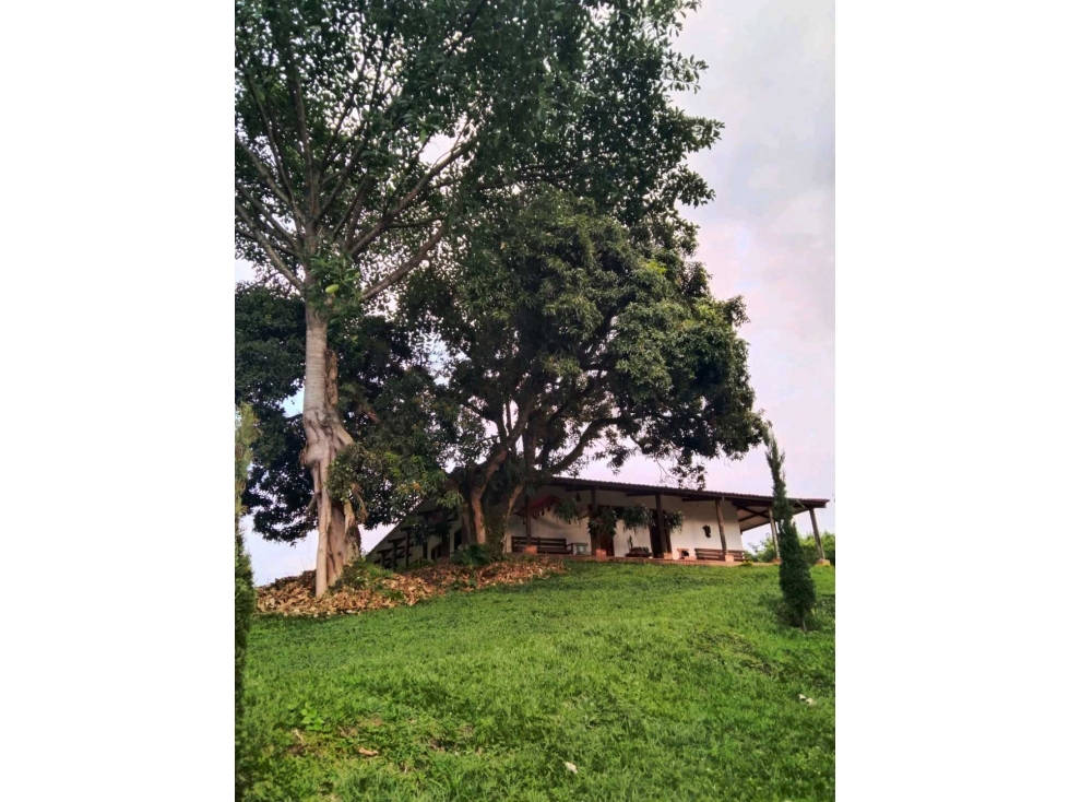 En venta finca Chinchina - 1