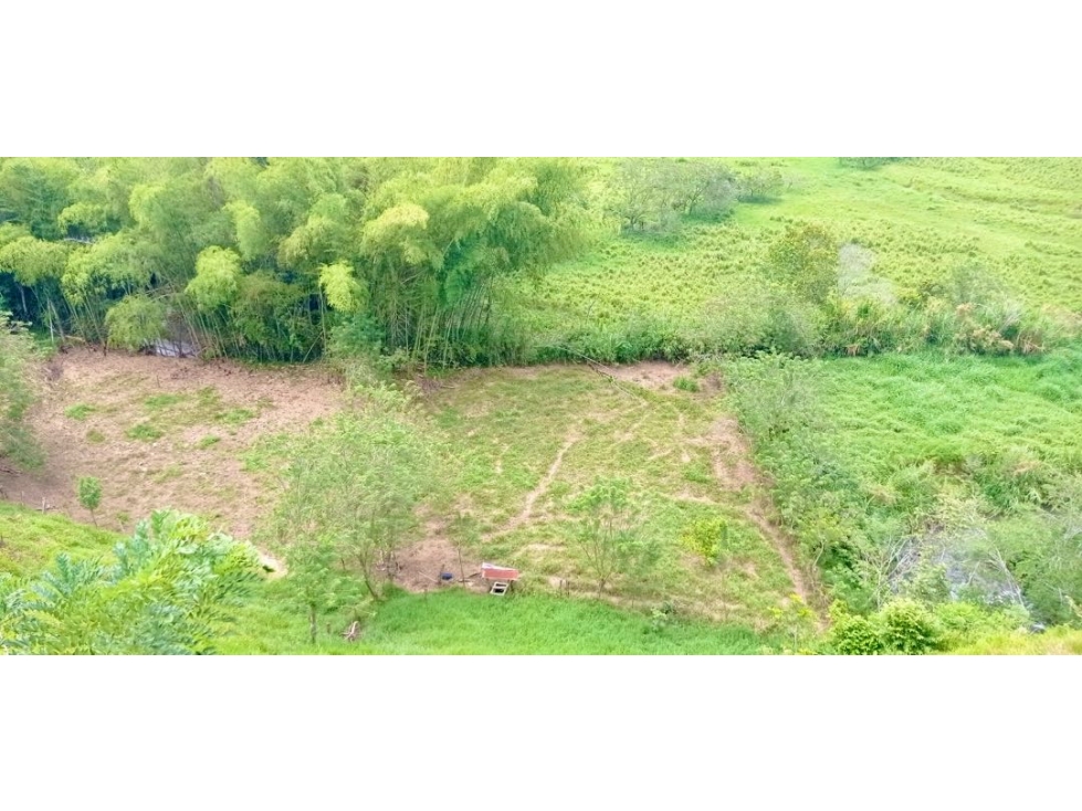 EN VENTA FINCA CON EXCELENTE UBICACIÓN TURÍSTICA EN BELALCÁZAR CALDAS - 2