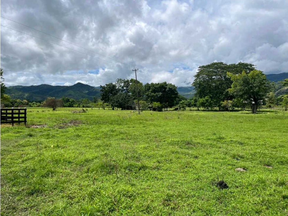 EN VENTA FINCA DE 45 HECTAREAS EN TIERRALTA - 1