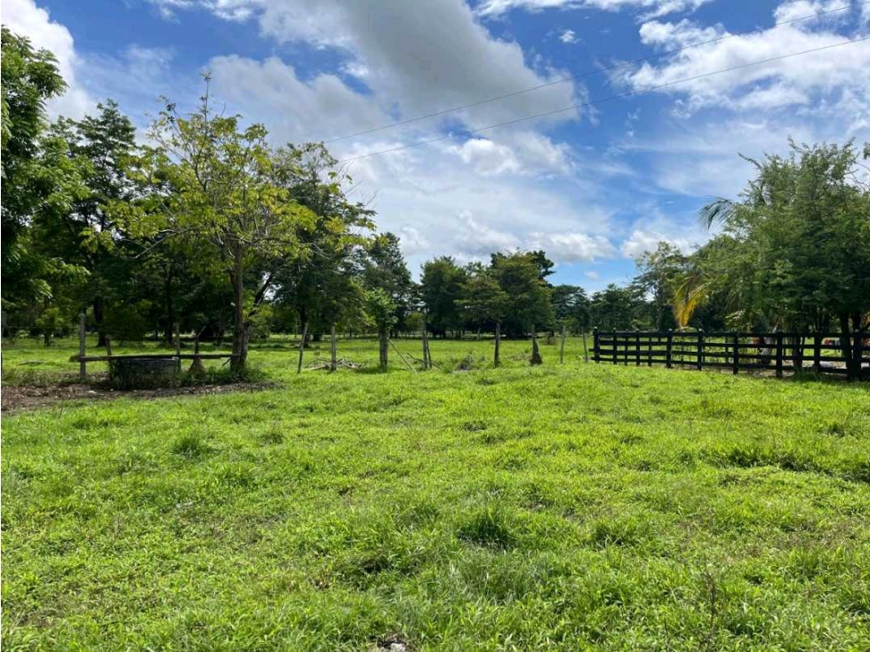 EN VENTA FINCA DE 45 HECTAREAS EN TIERRALTA - 3