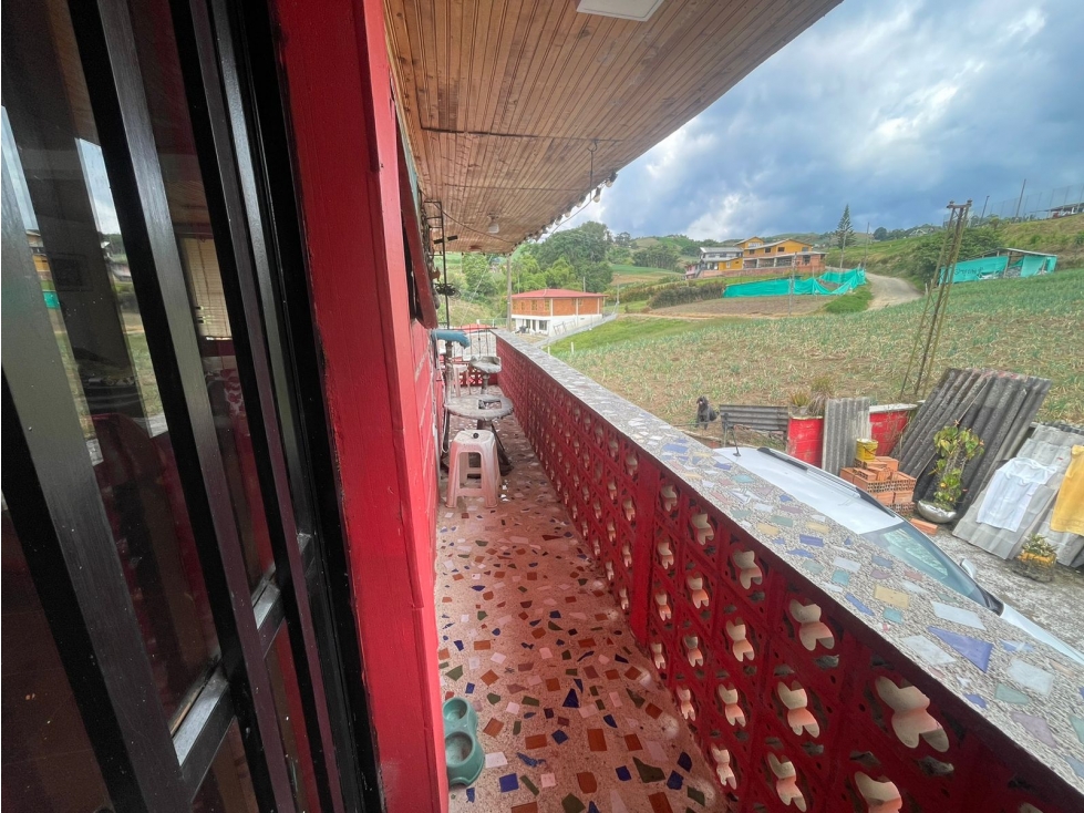 EN VENTA FINCA DE CULTIVO EN LA BELLA RISARALDA — foto 3