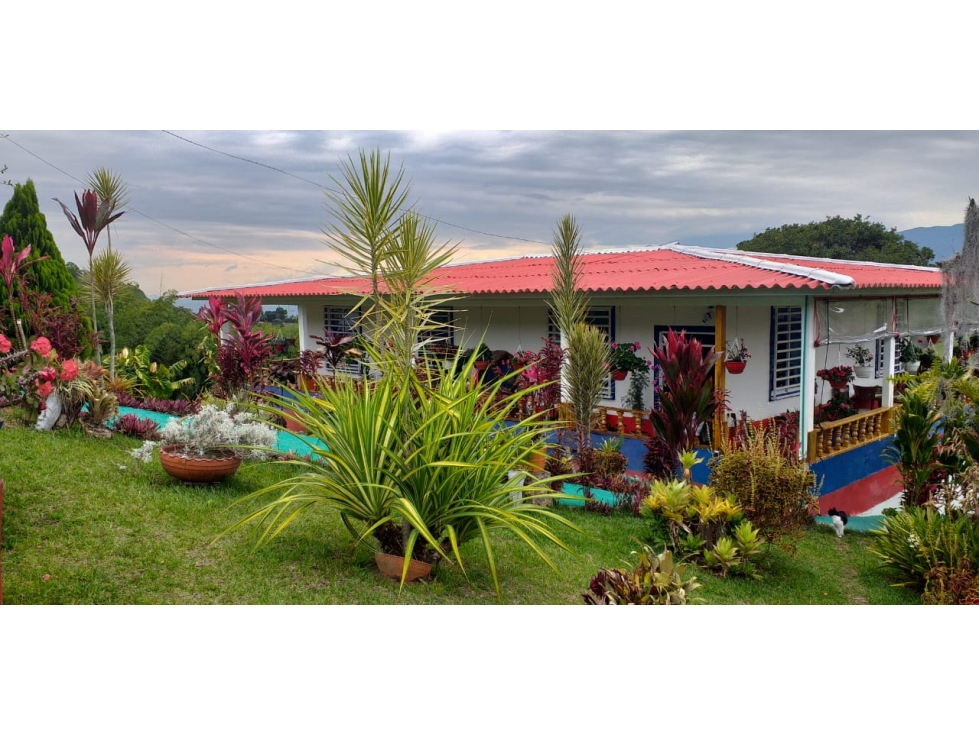 EN VENTA FINCA EN ANSERMA CALDAS - 4