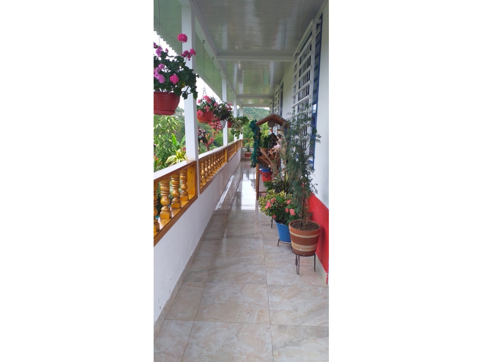 EN VENTA FINCA EN ANSERMA CALDAS - 6