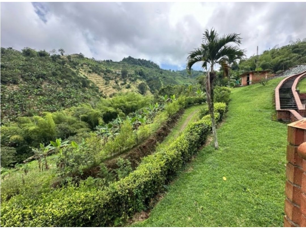 EN VENTA FINCA EN COMBIA ALTA PEREIRA — foto 4