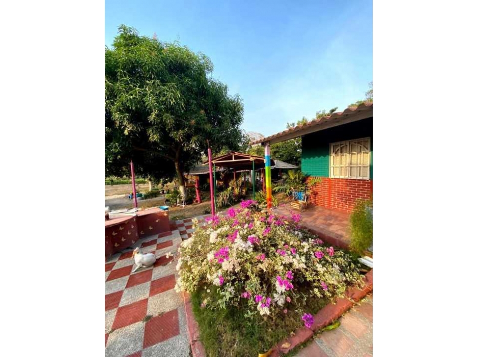 En Venta Finca en Santo Tómas - 5