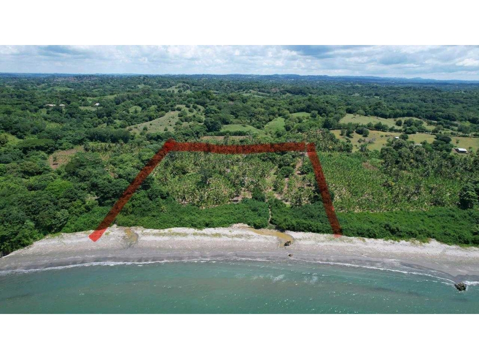 EN VENTA FINCA EN PUERTO ESCONDIDO 2.8 HECTAREAS - 1