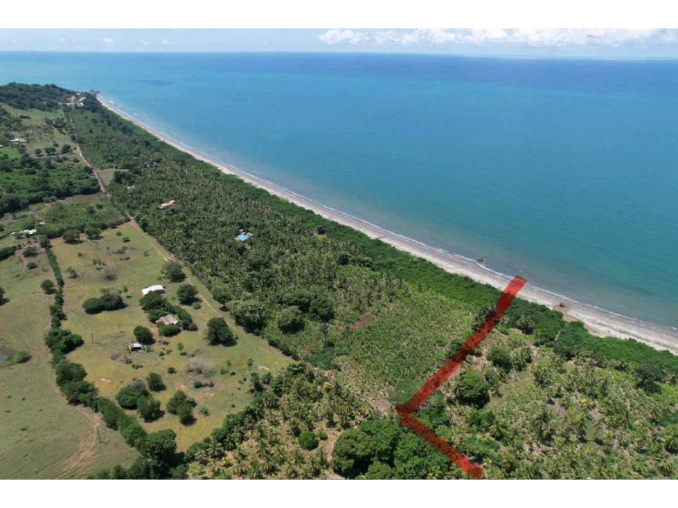 EN VENTA FINCA EN PUERTO ESCONDIDO 2.8 HECTAREAS - 2