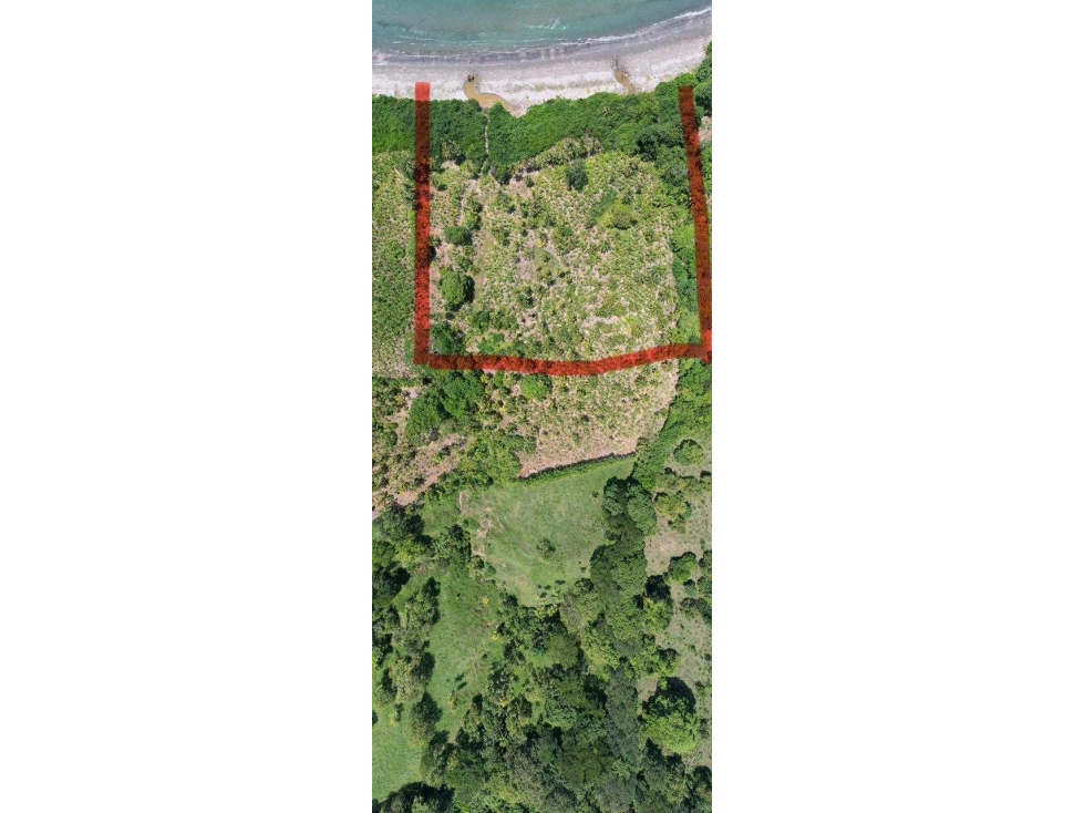 EN VENTA FINCA EN PUERTO ESCONDIDO 2.8 HECTAREAS - 3
