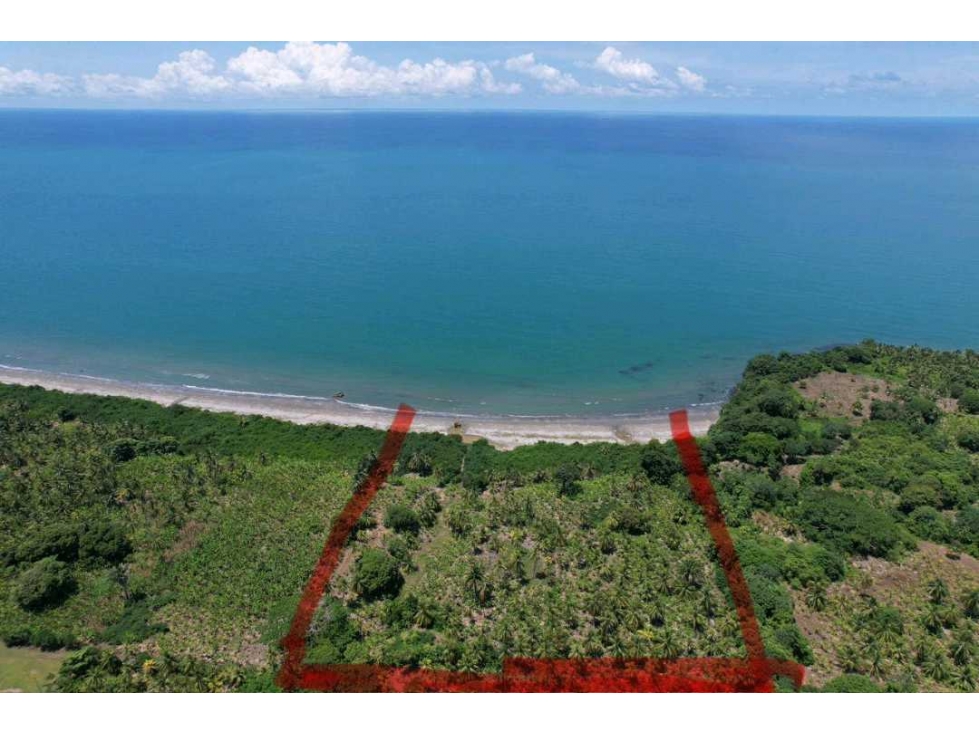 EN VENTA FINCA EN PUERTO ESCONDIDO 2.8 HECTAREAS - 4