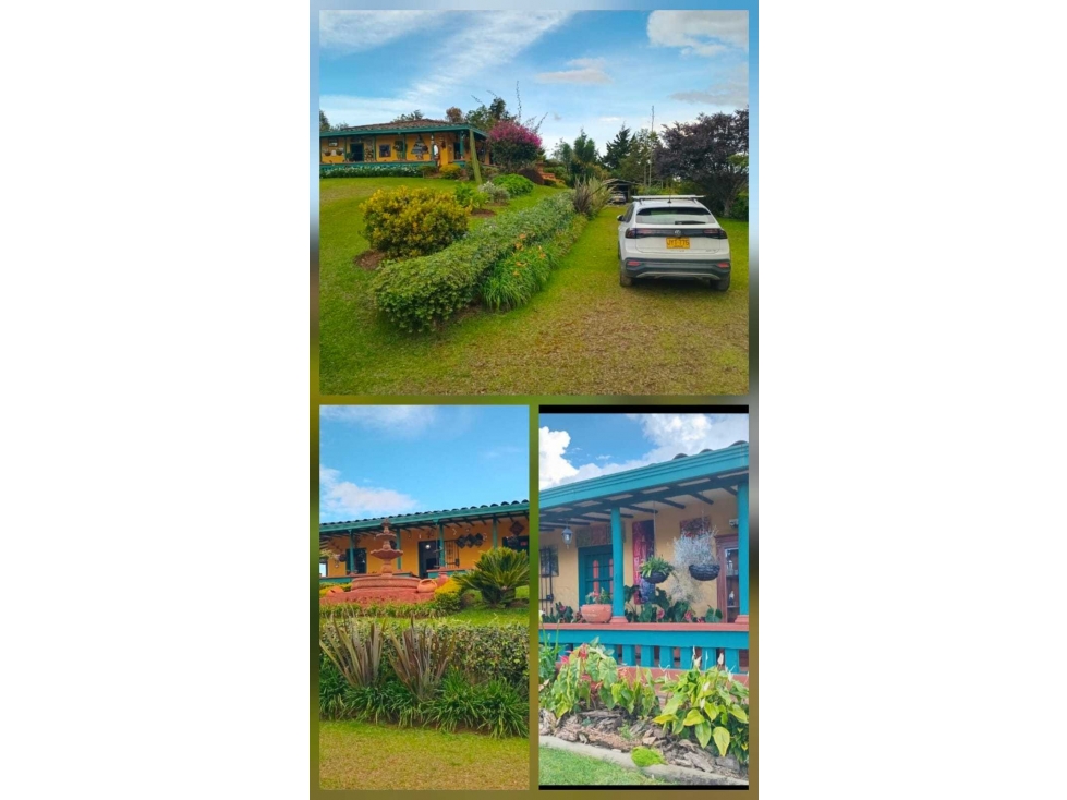 En venta finca en Rio negro
