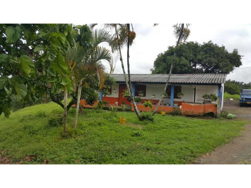 EN VENTA FINCA POR SANTA ROSA DE CABAL — foto 2
