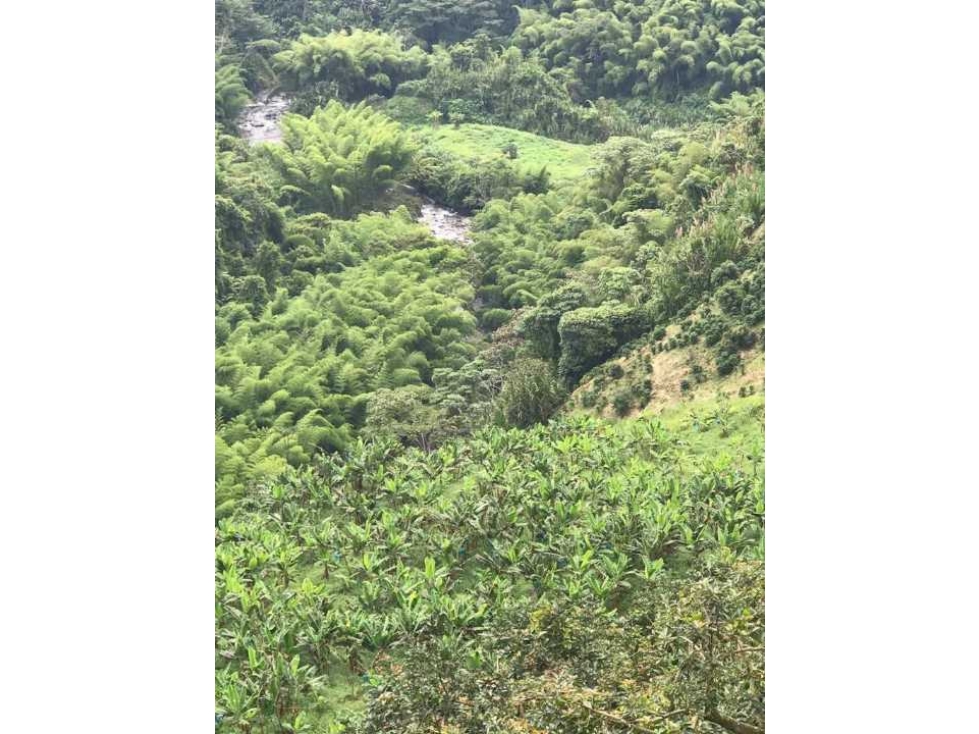 EN VENTA FINCA POR SANTA ROSA DE CABAL — foto 3