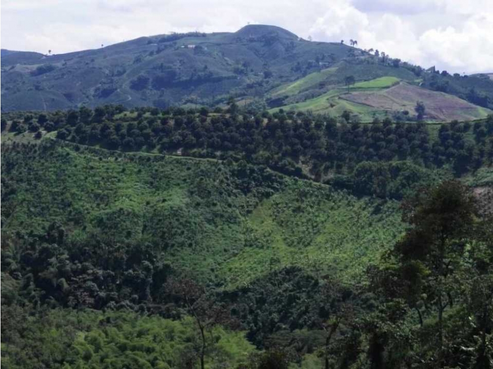 EN VENTA FINCA POR SANTA ROSA DE CABAL — foto 4