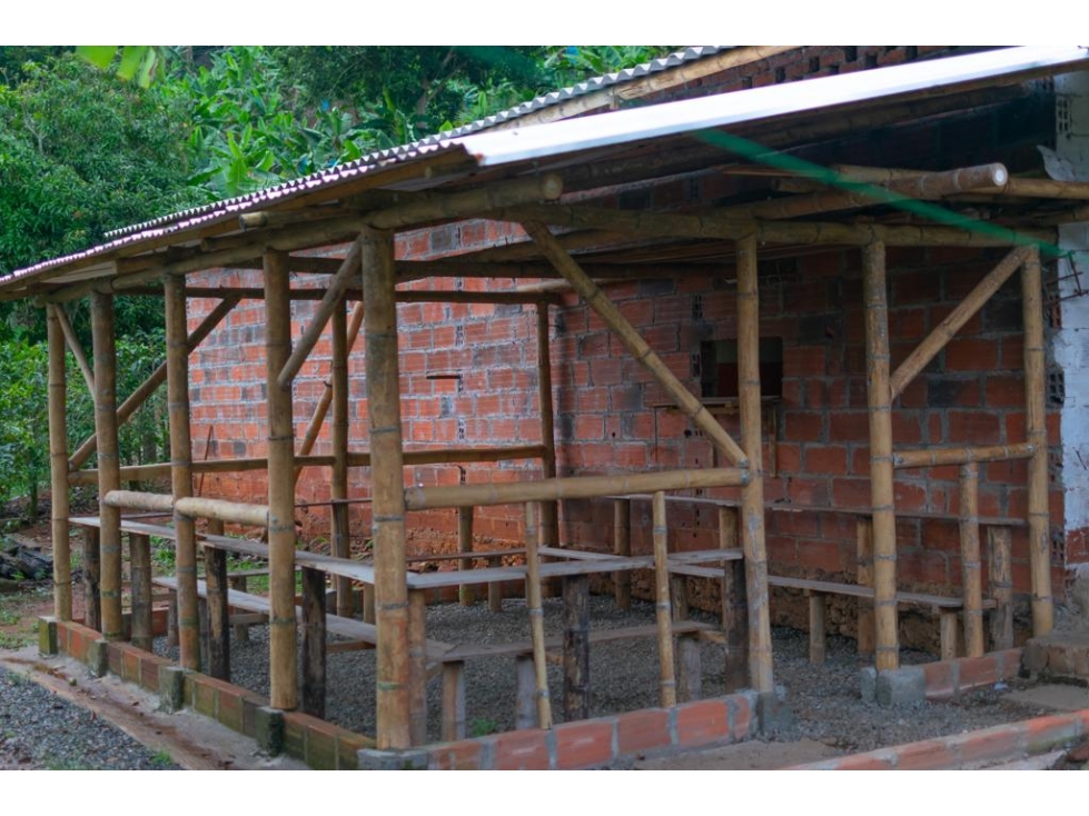 EN VENTA FINCA PRODUCTIVA EN SEVILLA - VALLE DEL CAUCA - 1