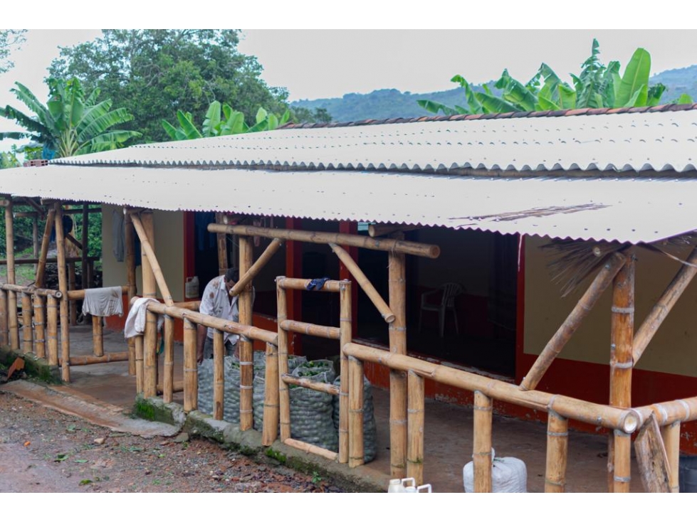 EN VENTA FINCA PRODUCTIVA EN SEVILLA - VALLE DEL CAUCA - 4