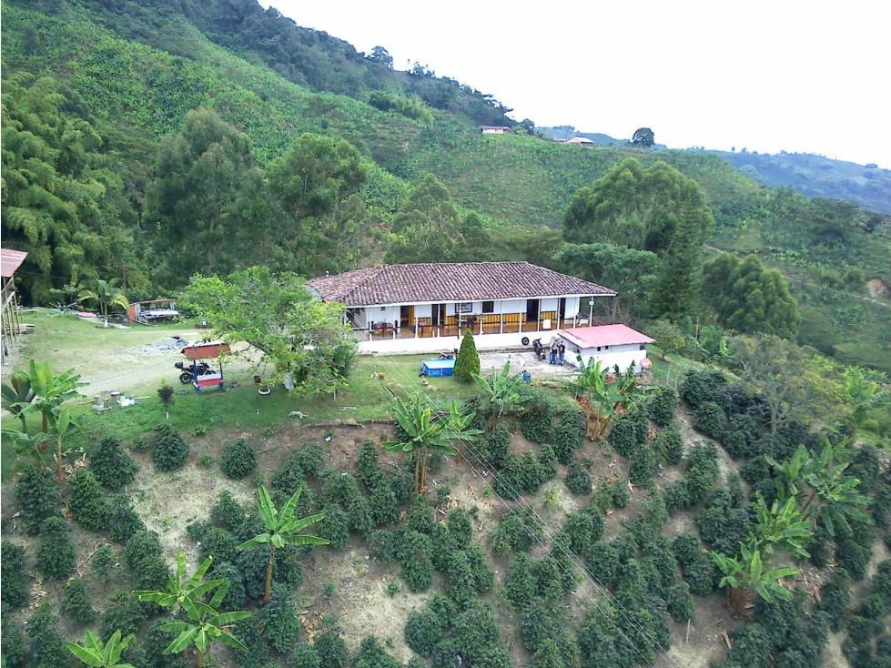 EN VENTA FINCA - SANTA ROSA DE CABAL