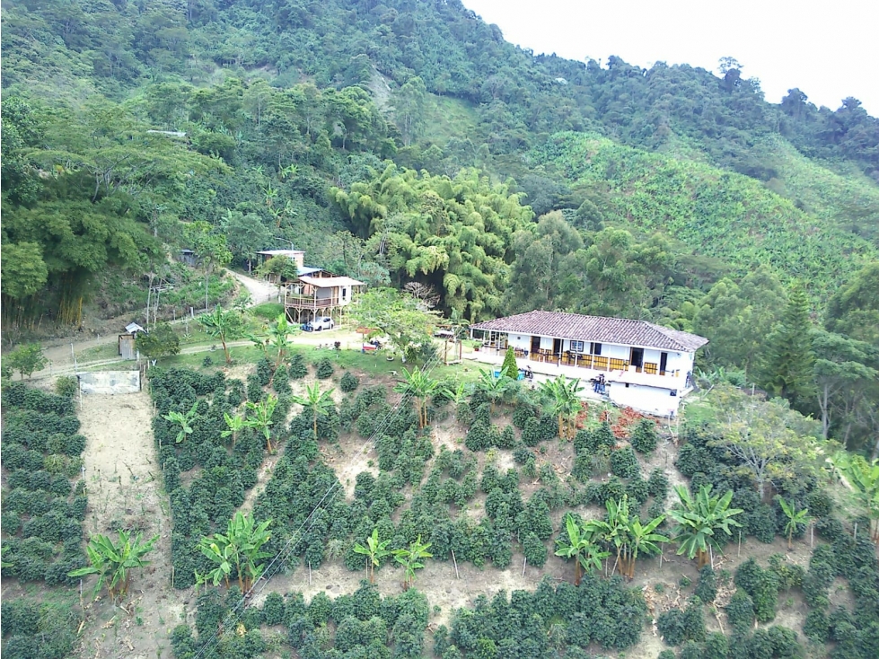 EN VENTA FINCA - SANTA ROSA DE CABAL — foto 5