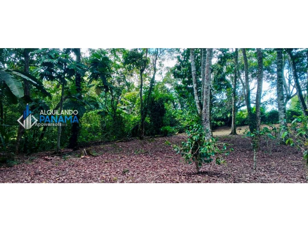 En venta hermosa finca con casa incluida, para proyecto turístico/agro - 1