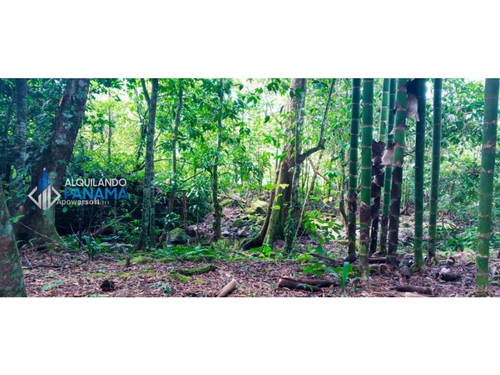 En venta hermosa finca con casa incluida, para proyecto turístico/agro - 2