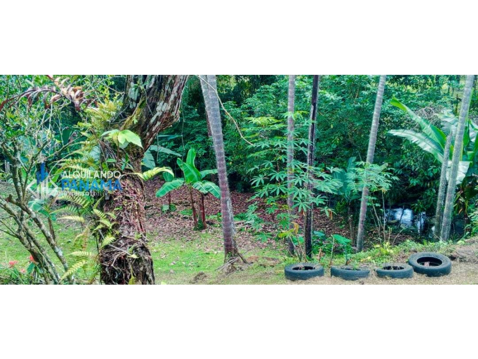 En venta hermosa finca con casa incluida, para proyecto turístico/agro - 3
