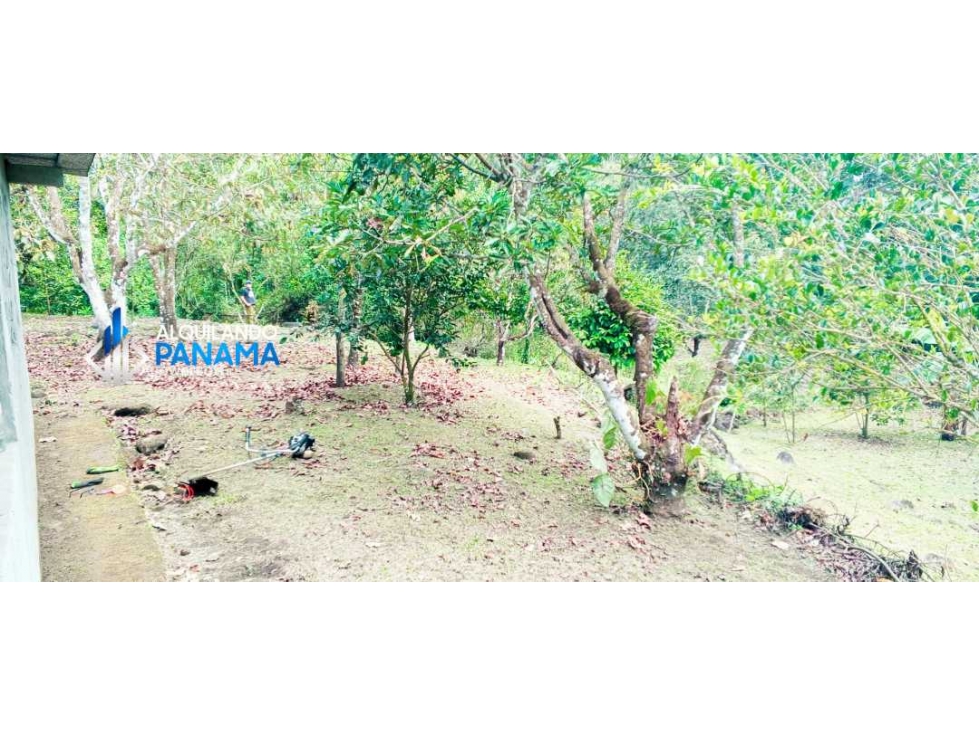 En venta hermosa finca con casa incluida, para proyecto turístico/agro - 6