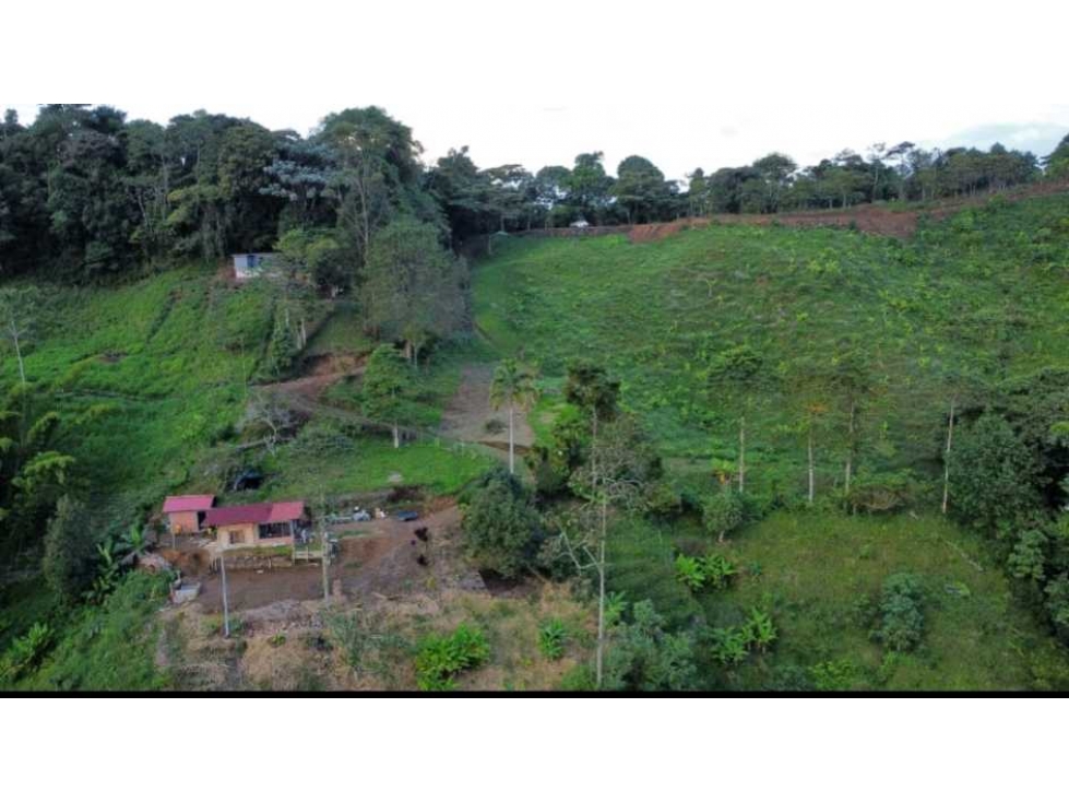 En venta hermosa finca en la vereda Patio Bonito - 1
