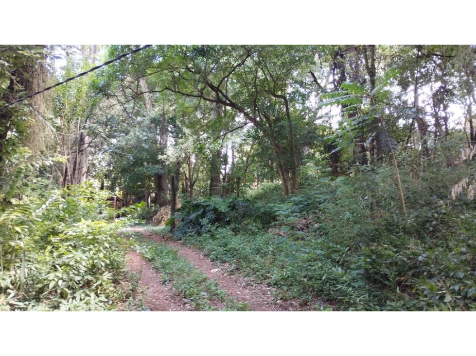 EN VENTA IMPORTANTE TERRENO EN PUERTO IGUAZÚ - 4