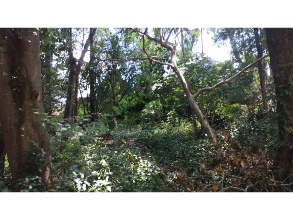 EN VENTA IMPORTANTE TERRENO EN PUERTO IGUAZÚ - 5