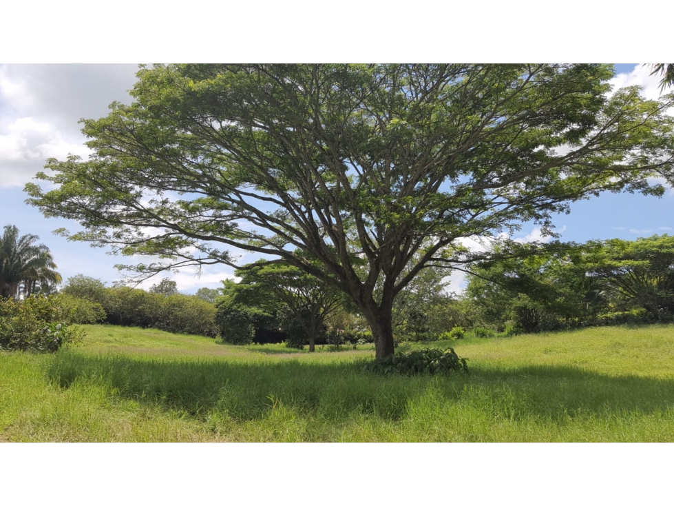 EN VENTA LOTE CAMPESTRE EN CERRITOS PEREIRA — foto 4
