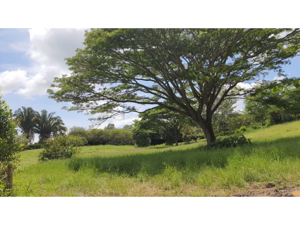 EN VENTA LOTE CAMPESTRE EN CERRITOS PEREIRA — foto 6