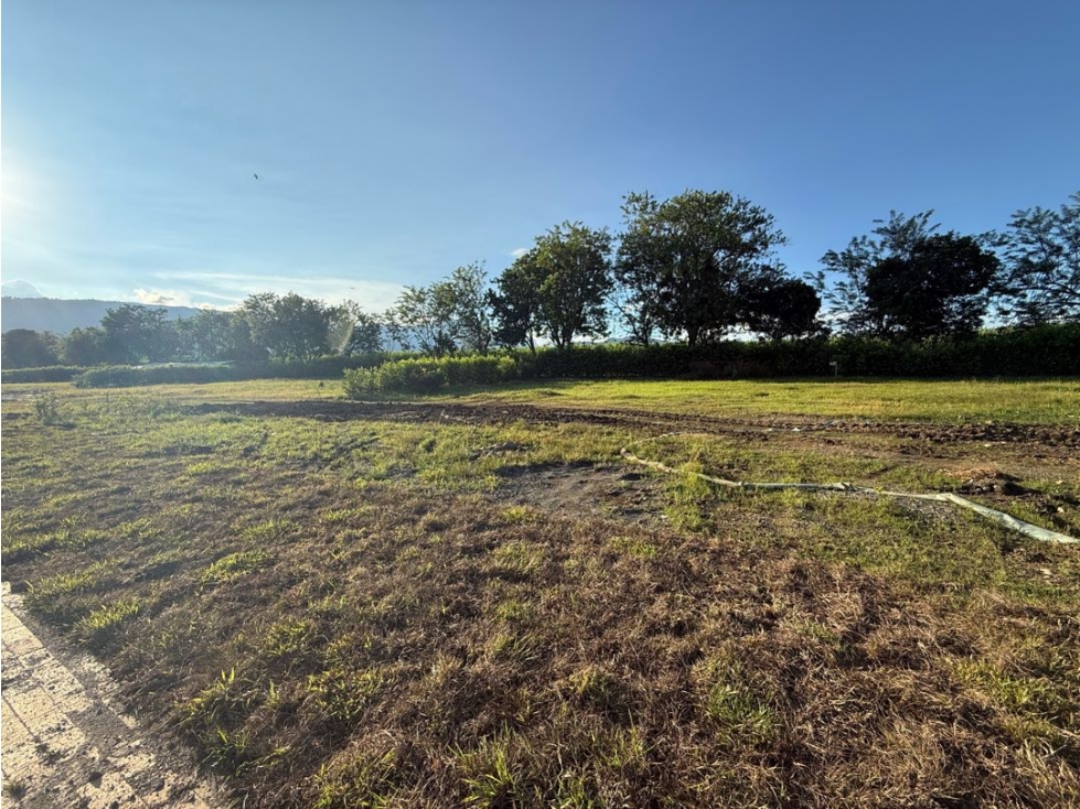 En Venta lote campestre en condominio en Viterbo Caldas - 1