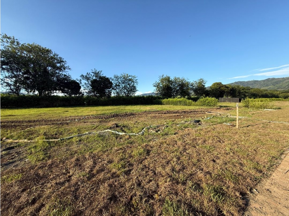 En Venta lote campestre en condominio en Viterbo Caldas - 2
