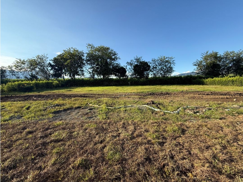 En Venta lote campestre en condominio en Viterbo Caldas - 3