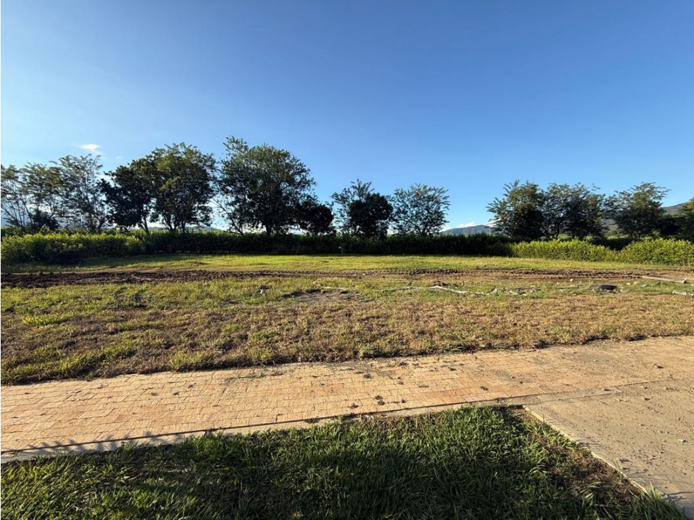 En Venta lote campestre en condominio en Viterbo Caldas - 4
