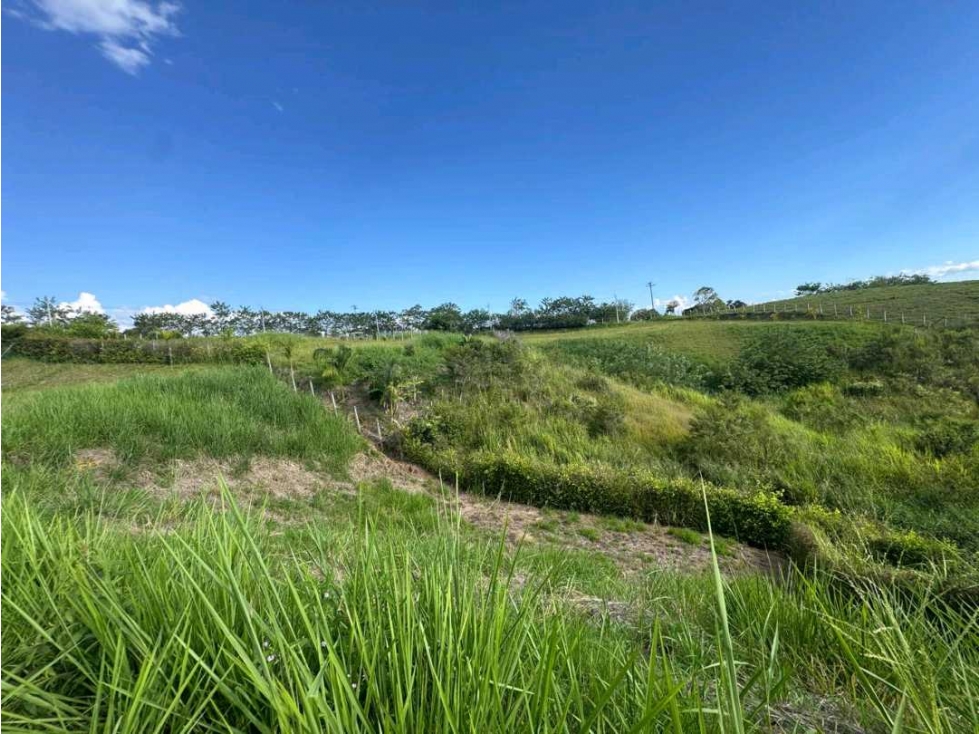 EN VENTA LOTE CAMPESTRE EN CONDOMIDOMINIO EN CERRITOS PEREIRA — foto 4