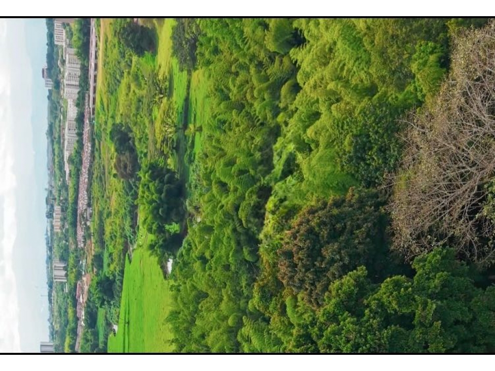 En venta lote campestre en el Tigre Cerritos Pereira