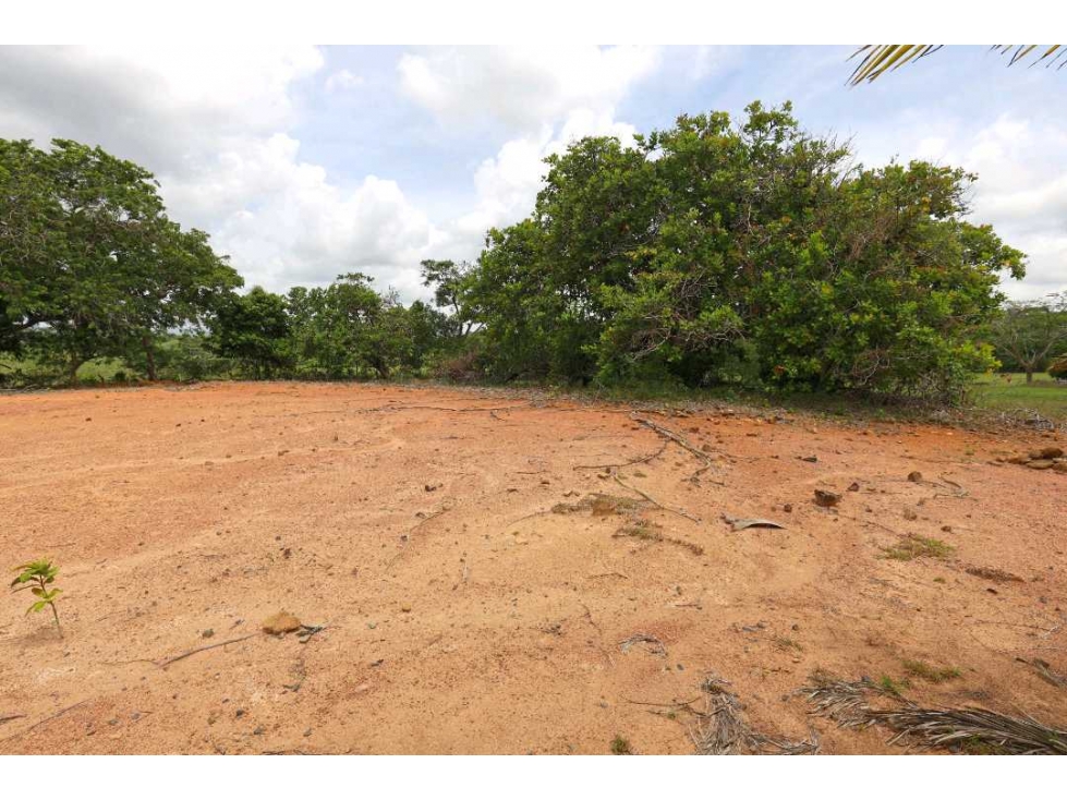 En venta Lote Campestre en Palmas de Capira con Financiamiento o Cash — foto 5